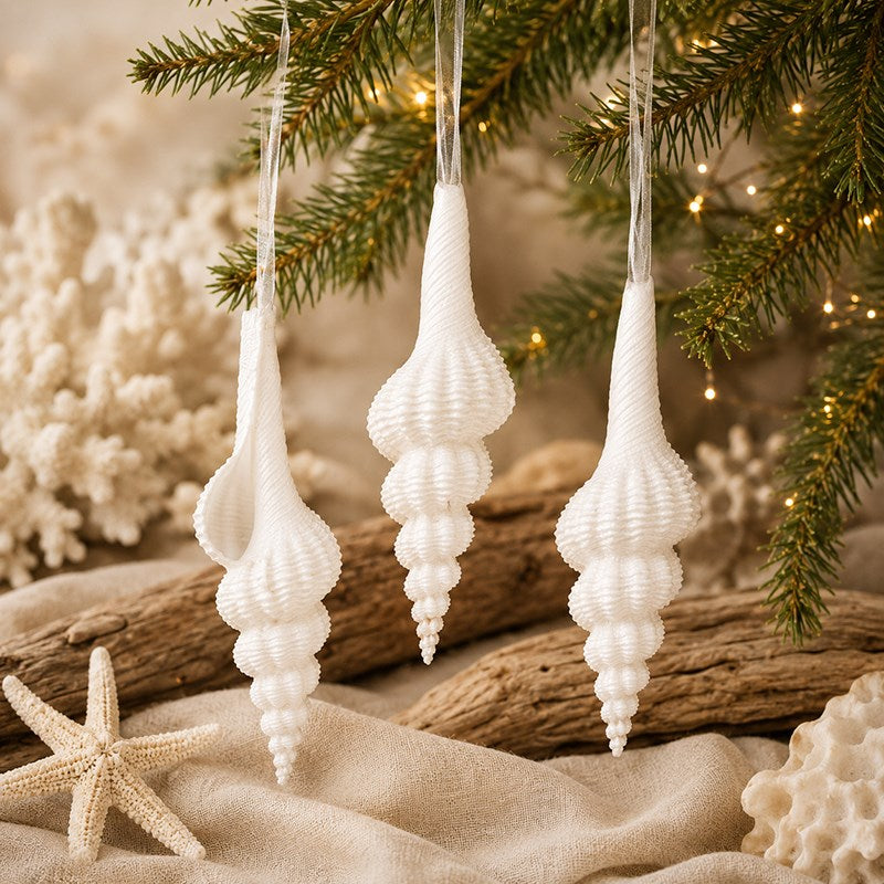 Decoration natural shell Fusinus forceps