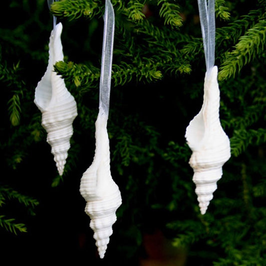 Decoration natural shell Fusinus nicobaricus white/brown