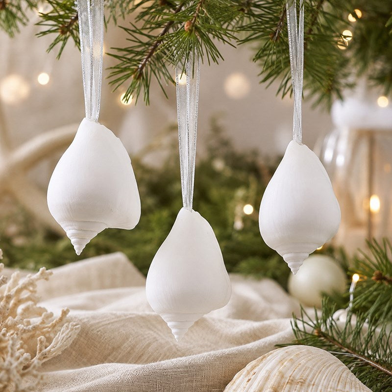 Decoration natural shell Strombus canarium white