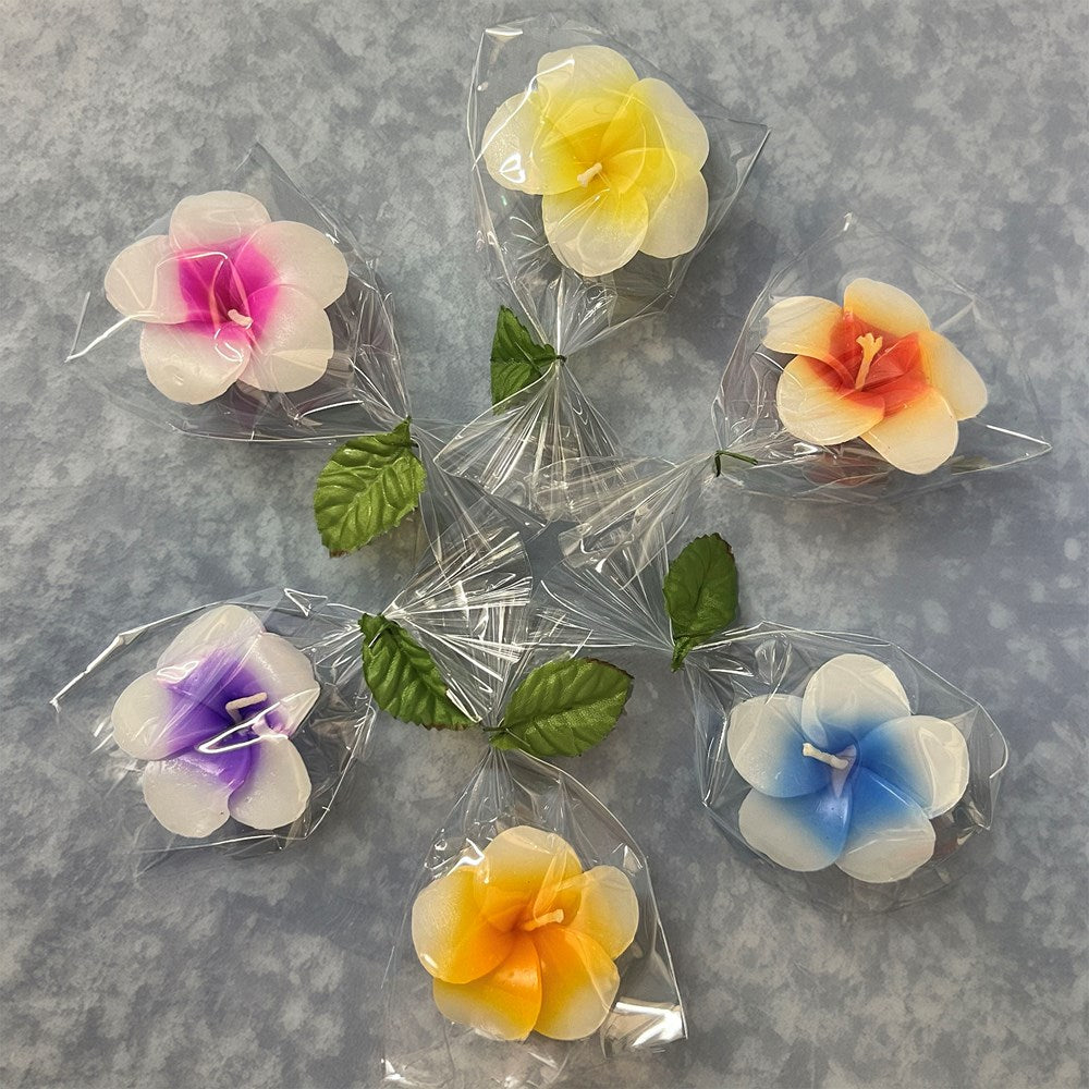 Floating flower candle frangipani (Pack of 12)