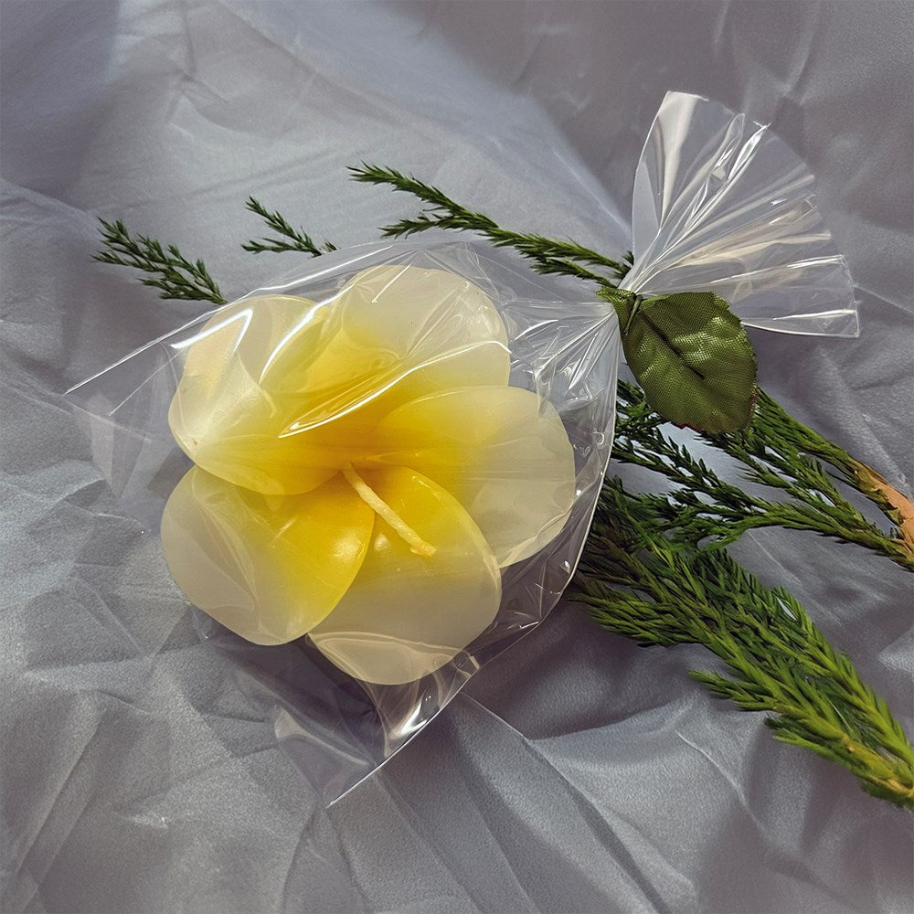Flower floating candle frangipani (Pack of 2)
