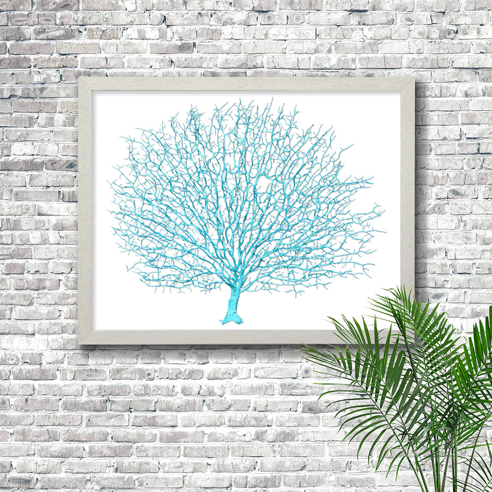 Frame white - no mat - artificial aqua seafan on white