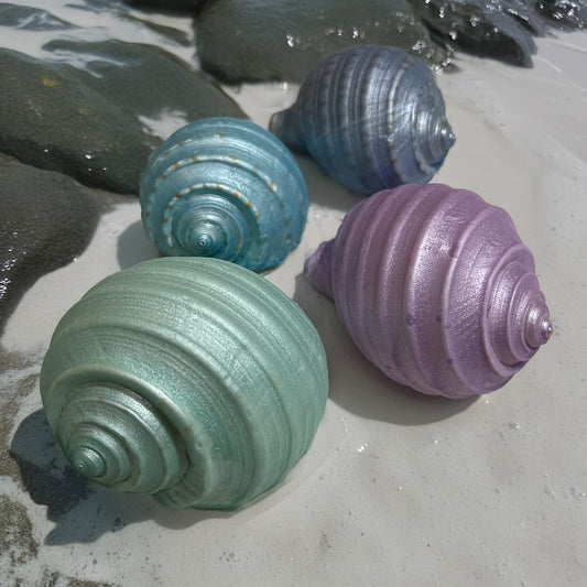 Pet crab shells pearl dyed pastel blue, aqua, purple - Tonna