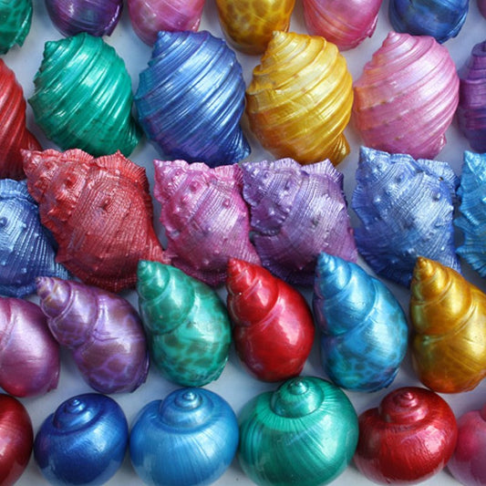 Pet crab shells pearl dyed asstd plain