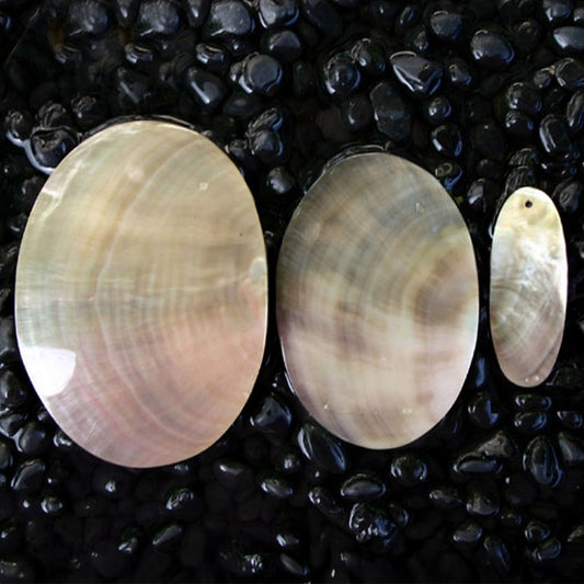 Blacklip pearled oval