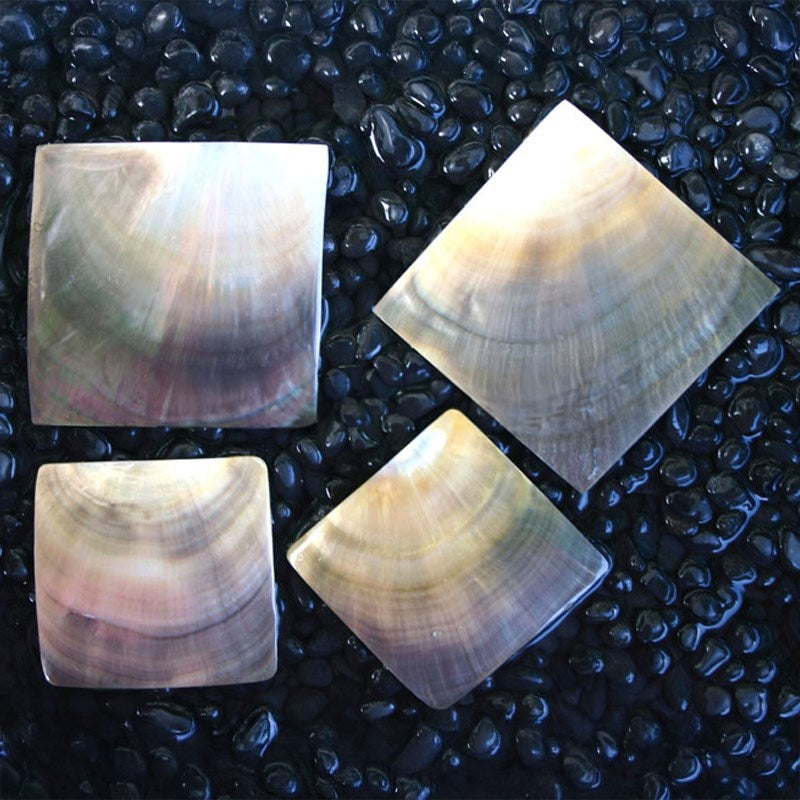 Blacklip pearled square
