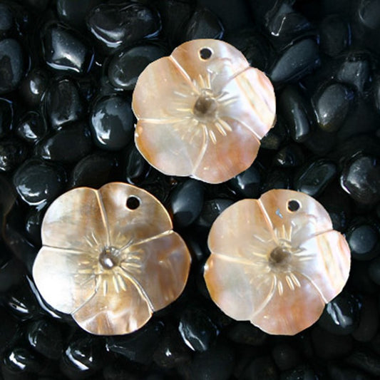 Brownlip pearled flower