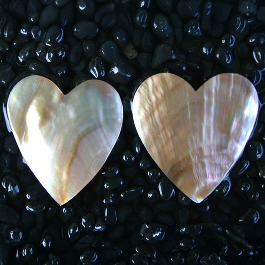 Brownlip pearled heart