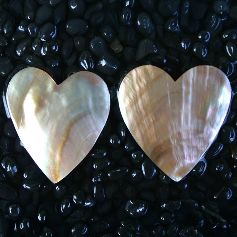 Brownlip pearled heart