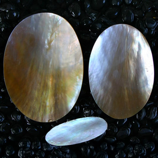 Brownlip pearled oval