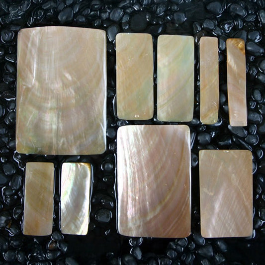 Brownlip pearled rectangle