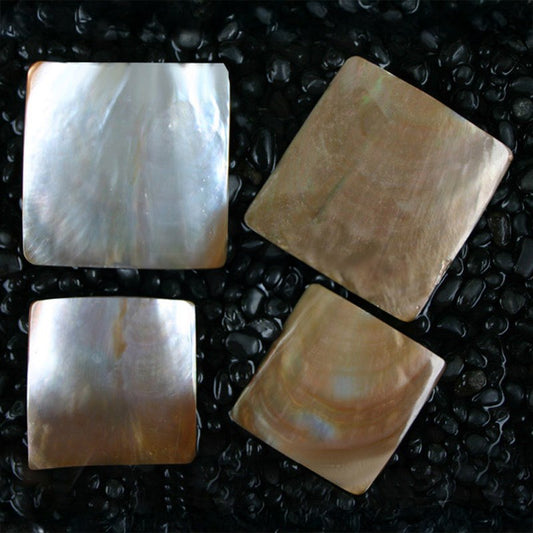 Brownlip pearled square