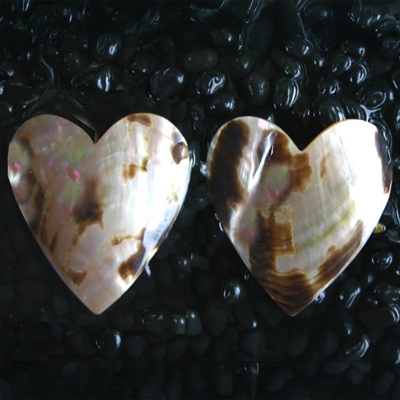 Brownlip tigerspot pearled heart