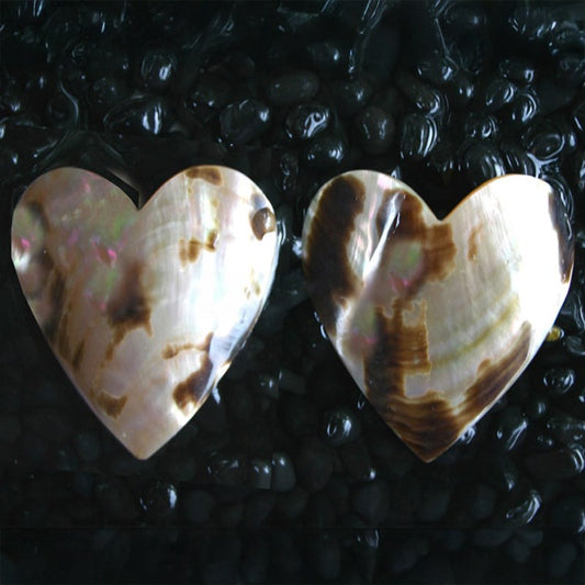 Brownlip tigerspot pearled heart