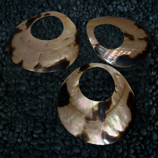 Brownlip tiger pearled round donut