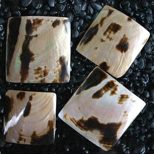 Brownlip tigerspot pearl square