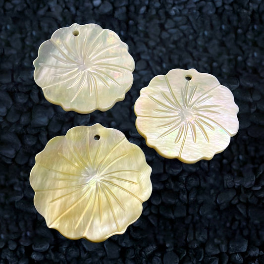 Goldlip pearled flower