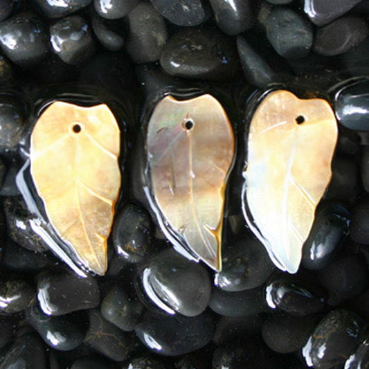 Goldlip pearled leaf