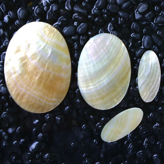 Goldlip pearled oval