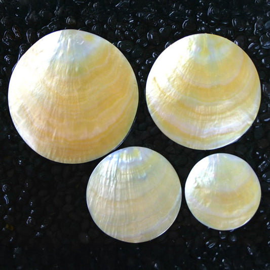 Goldlip pearled round