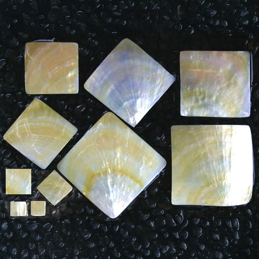 Goldlip pearled square