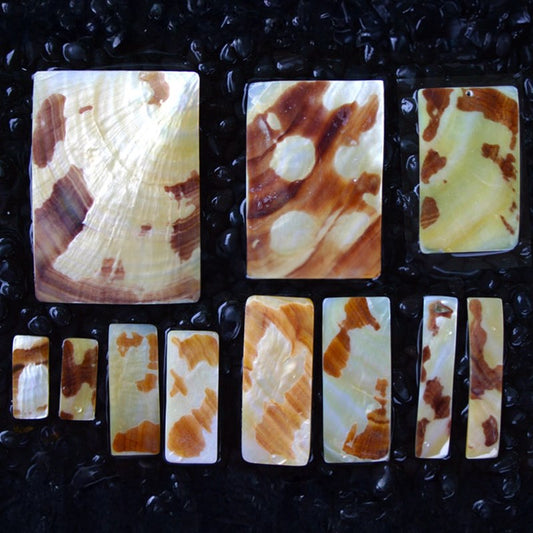 Goldlip tiger pearl rectangle