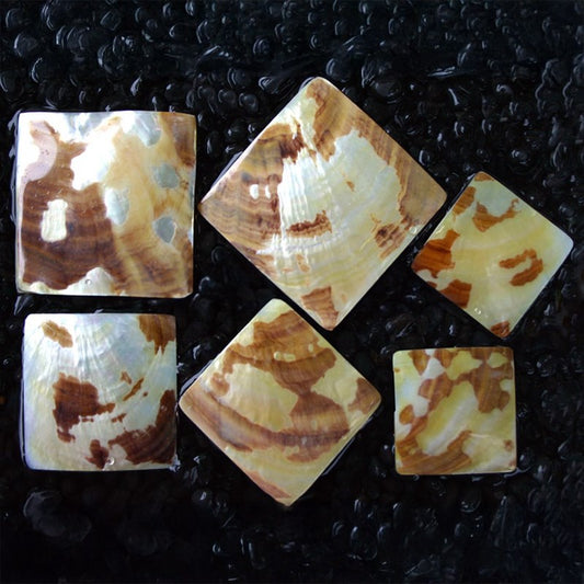 Goldlip tiger pearl square