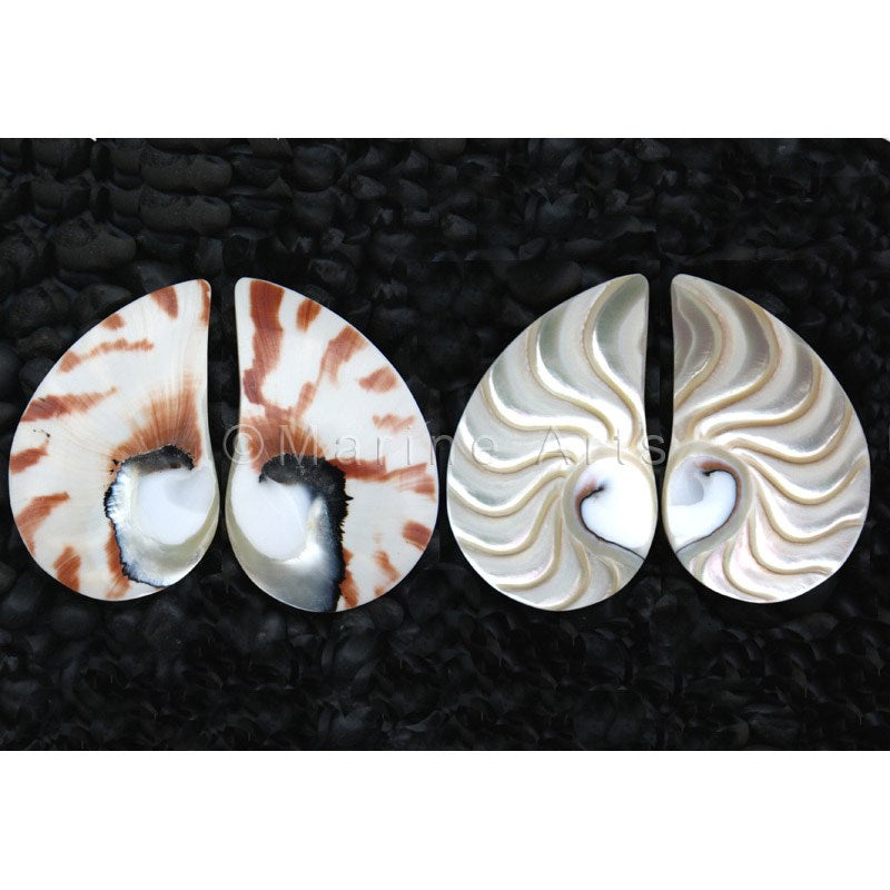 Nautilus pearl stripe halfmoon tiger lg piece