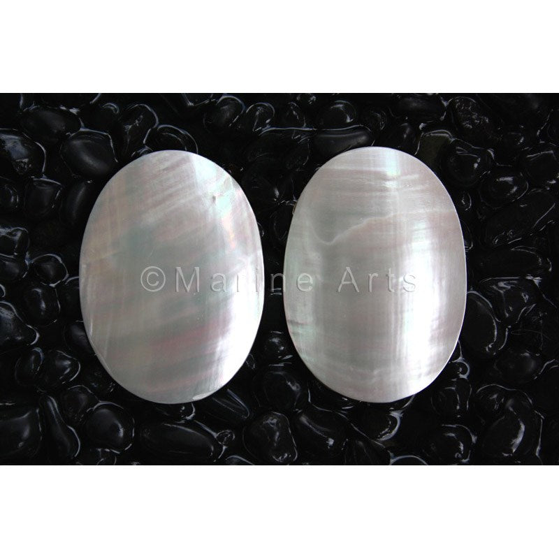 Nautilus pearl oval pair