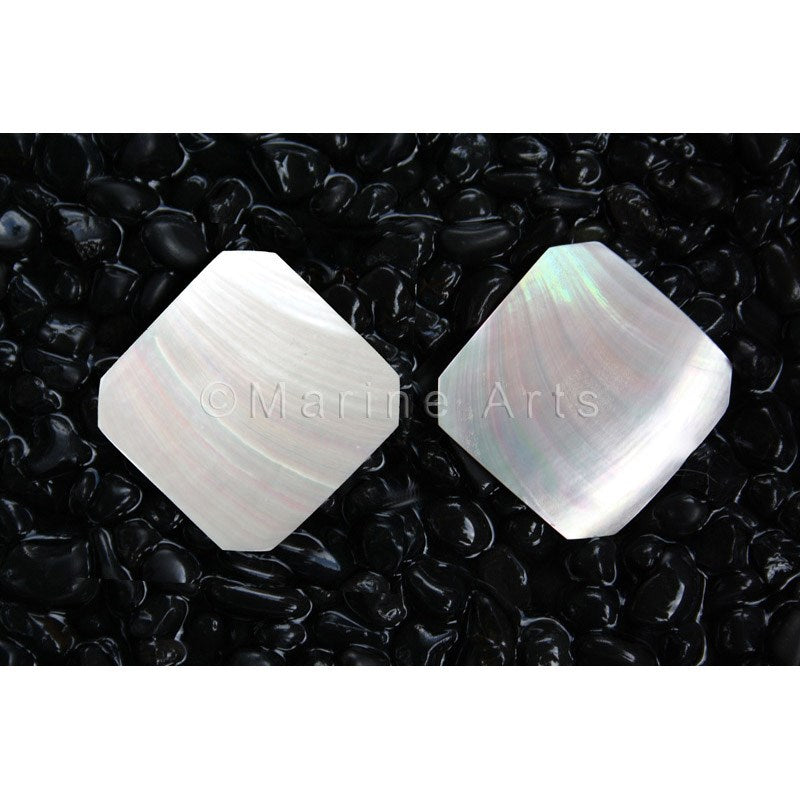 Nautilus pearl square pair
