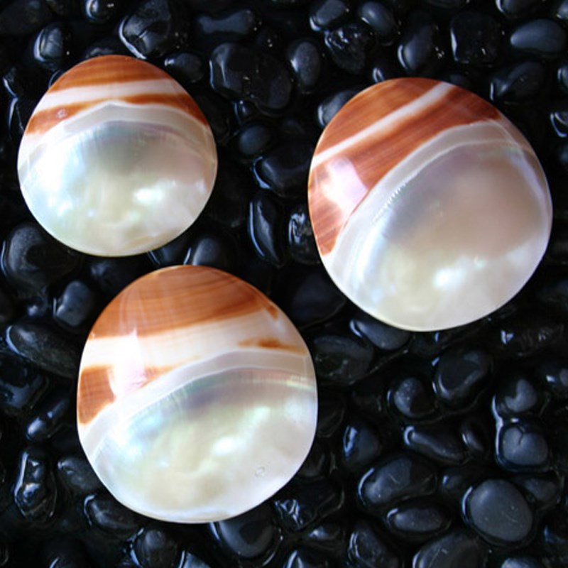 Carmelite round half stripe