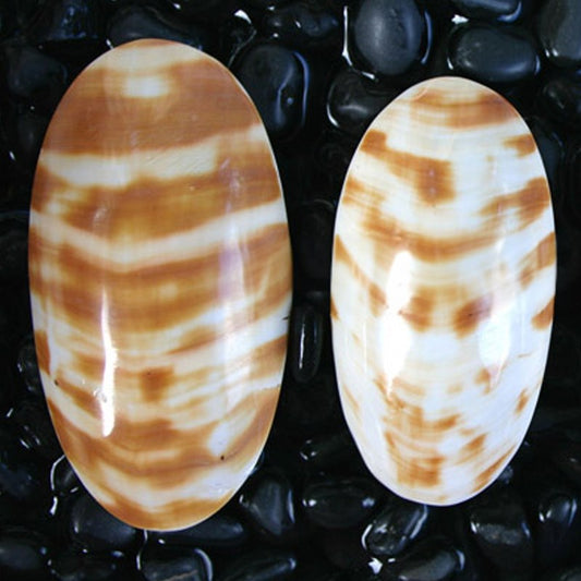 Osmena oval natural stripe