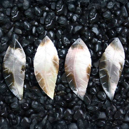 Brownlip pearled leaf long