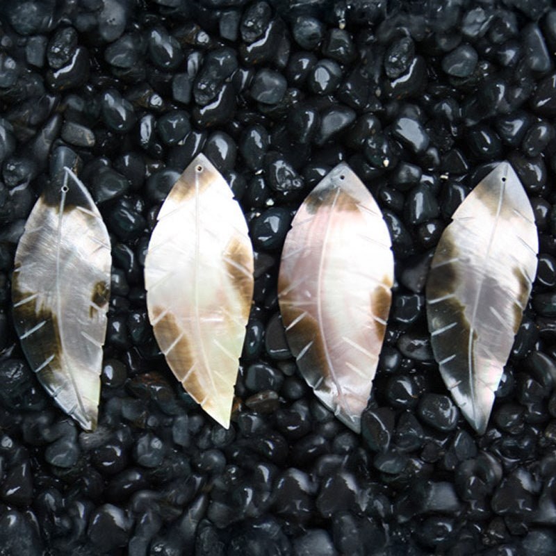 Brownlip pearled leaf long