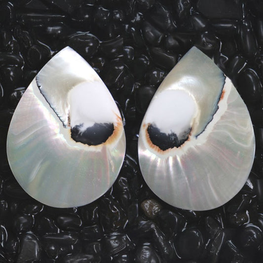 Nautilus pearl tigereye giant piece