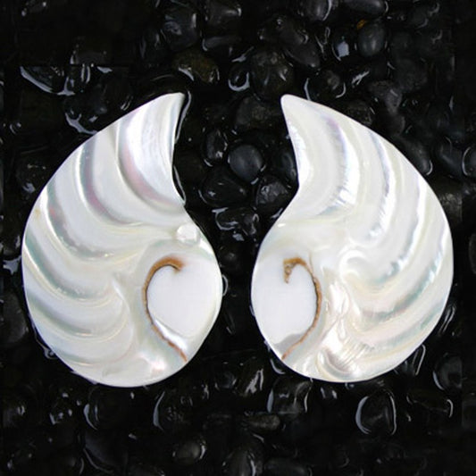 Nautilus pearl halfmoon tigereye large piece