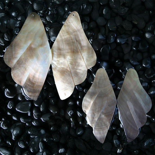 Blacklip pearled birdwing long