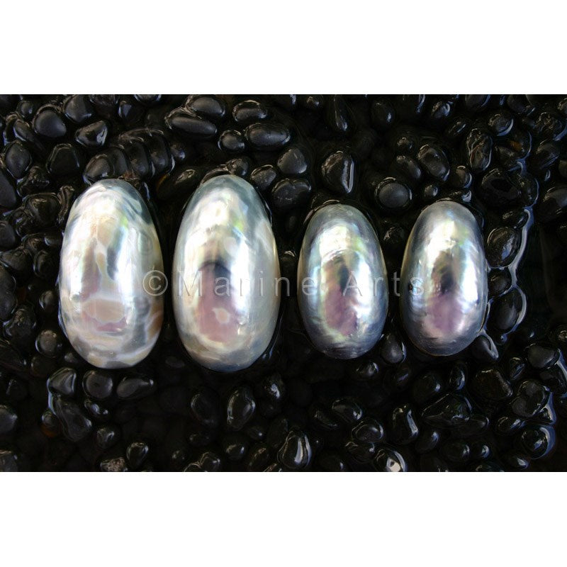 Osmena pearled silver smoky