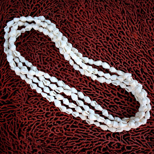 Shell leis cream and white