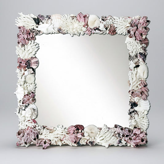 Mirror coral shell - scallop, barnacle and oyster