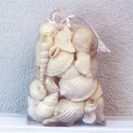 Organza shell pack white shells