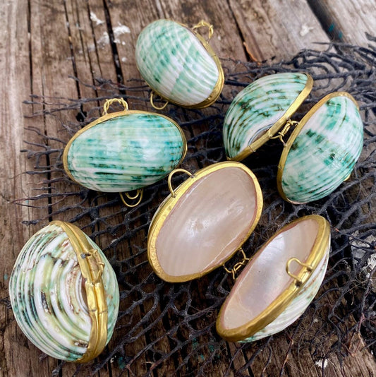 Shell purse Turbo green