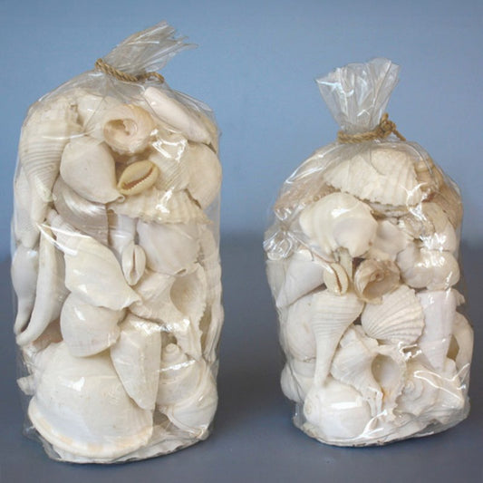 PVC pack assorted shells white