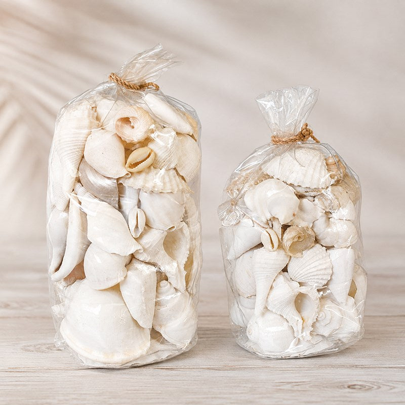 PVC pack assorted shells white