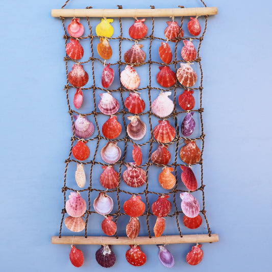 Rope hanger pecten nobilis