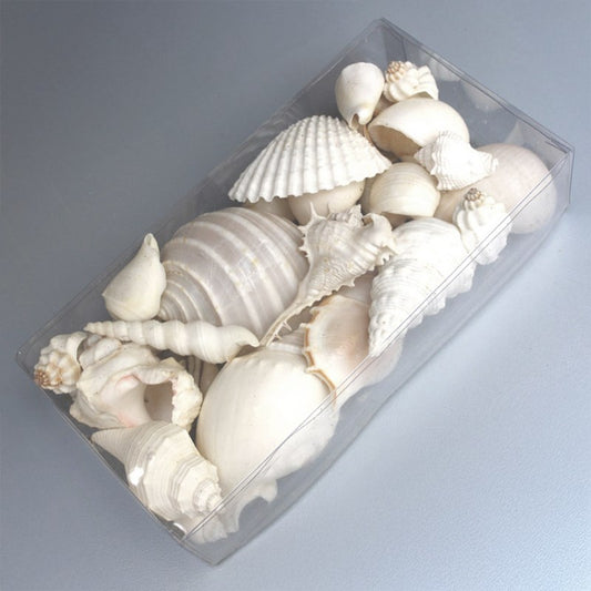 Clear box rectangle shell white