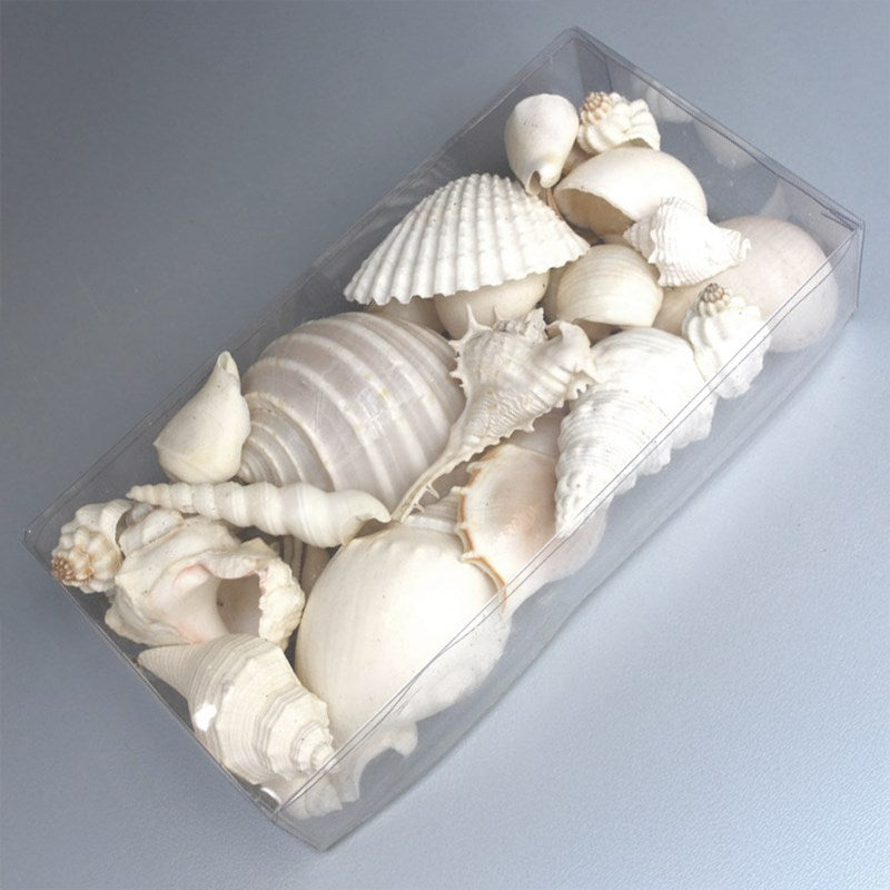 Clear box rectangle shell white