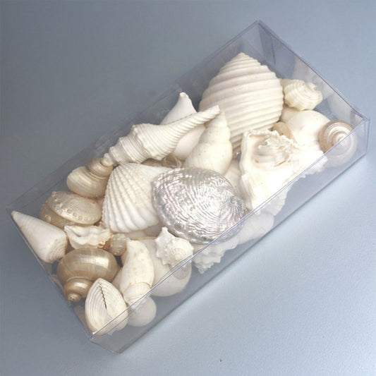 Clear box rectangle shell white and pearl