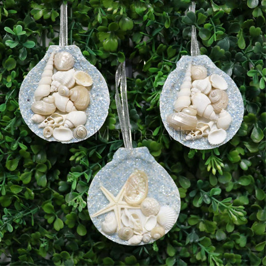 Decoration glitter shell Amusium with pearly shells blue