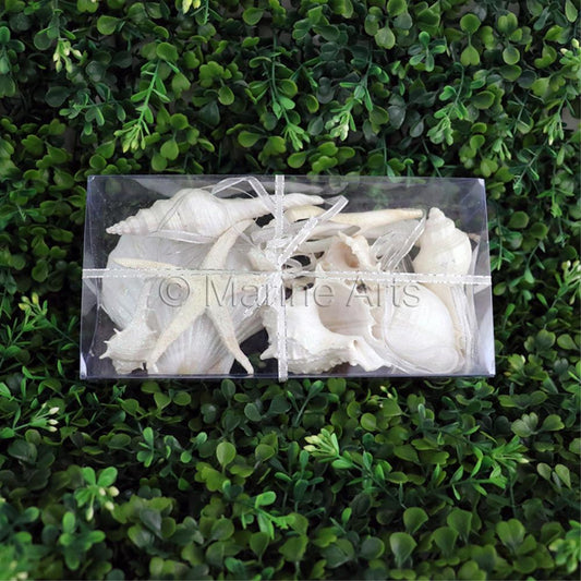 Decoration pack glitter shells white - rectangle with ribbon (Pack of 6)